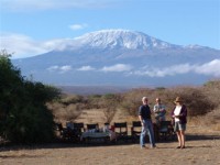 Tea with a serious backdrop